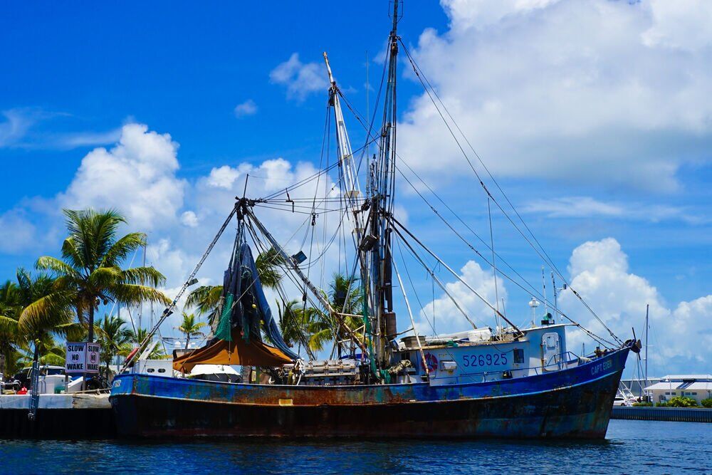 9. Florida